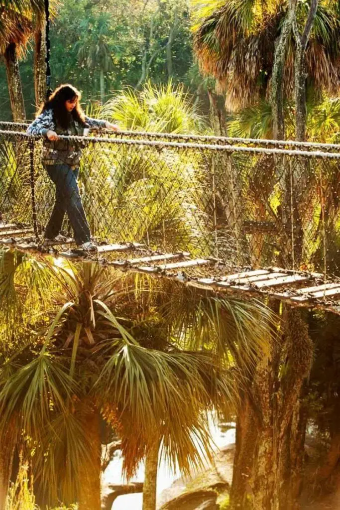 Photo of a young woman crossing a plank bridge over water.