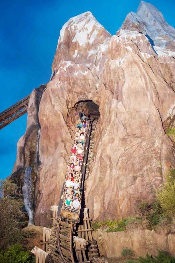 Photo of guests riding down a hill on the Expedition Everest roller coaster at Disney's Animal Kingdom.