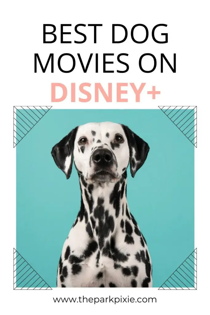 Photo of a Dalmatian dog posing in front of a teal background. Text above reads "Best Dog Movies on Disney Plus."