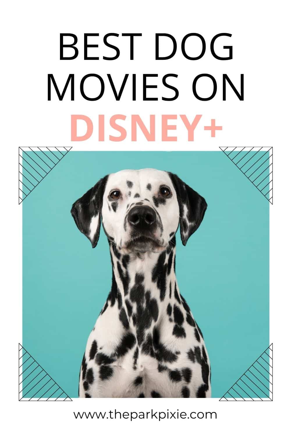 45 Heartwarming Disney Dog Movies on Disney Plus • The Park Pixie
