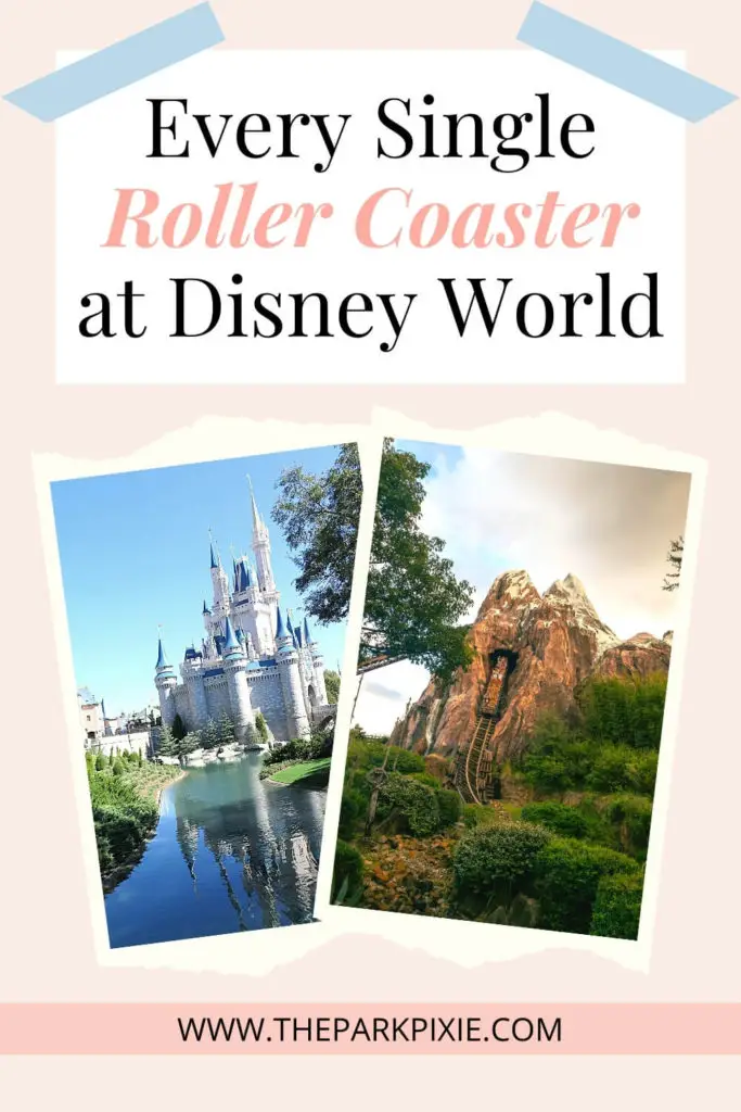 Text at top reads "Every Single Roller Coaster at Disney World." Photos below, L-R: Cinderella's Castle at Disney World's Magic Kingdom and Expedition Everest roller coaster at Animal Kingdom.