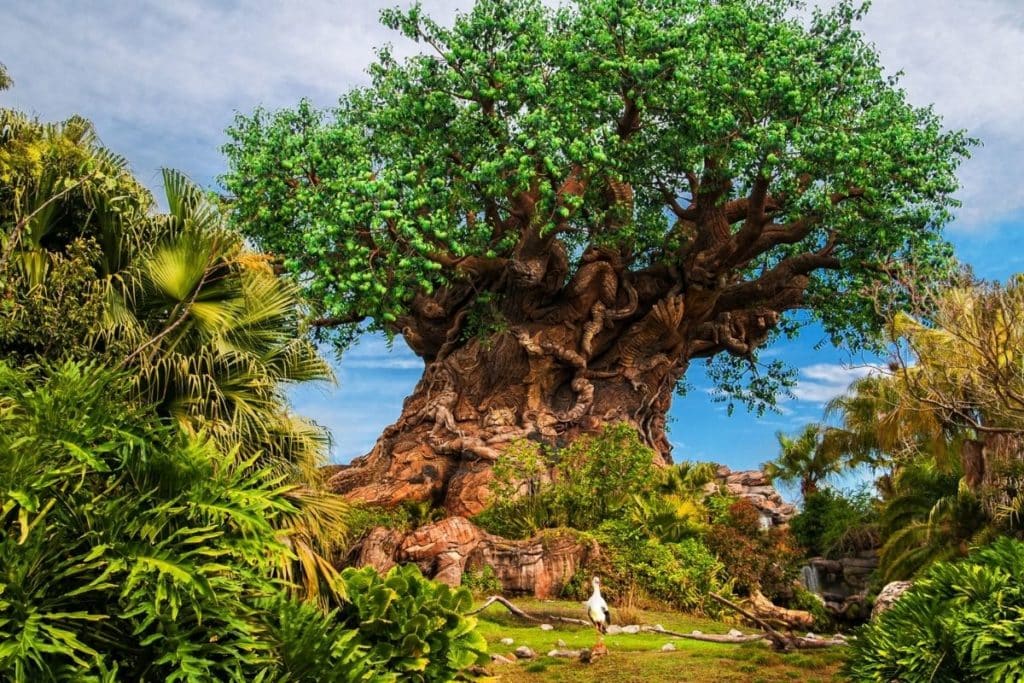 Photo of the tree of life at Disney World's Animal Kingdom.