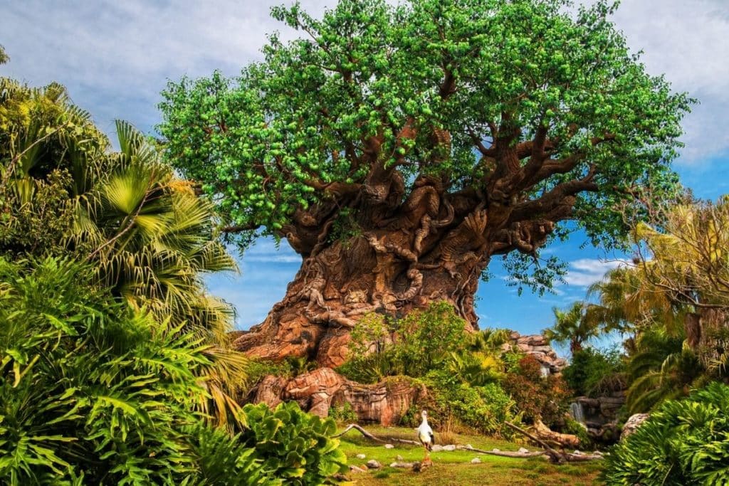 Photo of the iconic tree of life at Disney's Animal Kingdom.