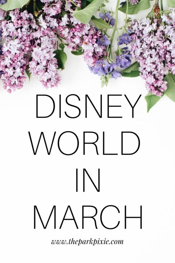 Photo of purple flowers lined across the top of the graphic. Text below the flowers reads: Disney World in March.