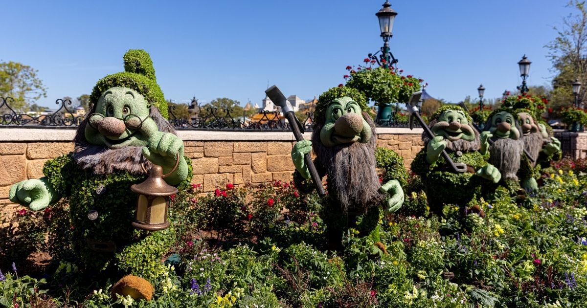 Photo of topiaries designed to look like the Seven dwarfs from Disney's Snow White at Disney World's Epcot.
