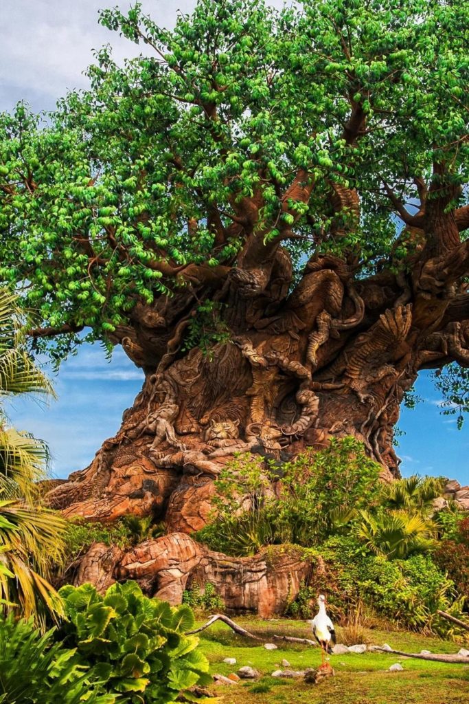 Photo of Animal Kingdom's Tree of Life.