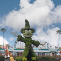 Photo of a topiary shaped like Mickey Mouse from Fantasia outside of the entrance for Hollywood Studios.