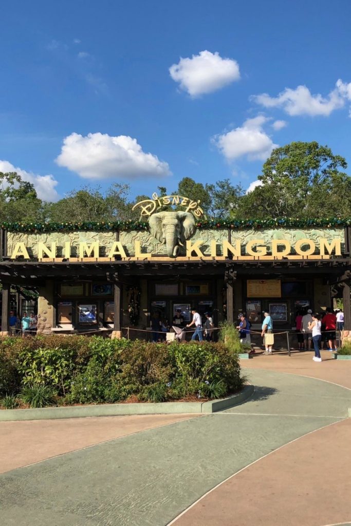 Photo of the entrance to Disney's Animal Kingdom.