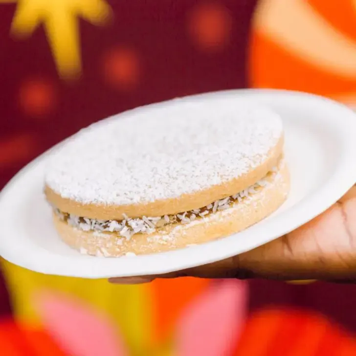 Closeup of the alfajores vanilla shortbread cookies with a dulce de leche and coconut cream filling.