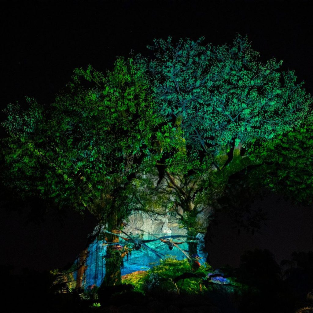 Photo of Avatar banshees projected onto Animal Kingdom's Tree of Life at night.
