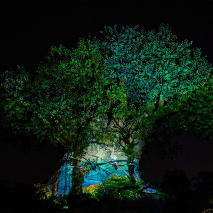 Photo of Avatar banshees projected onto Animal Kingdom's Tree of Life at night.