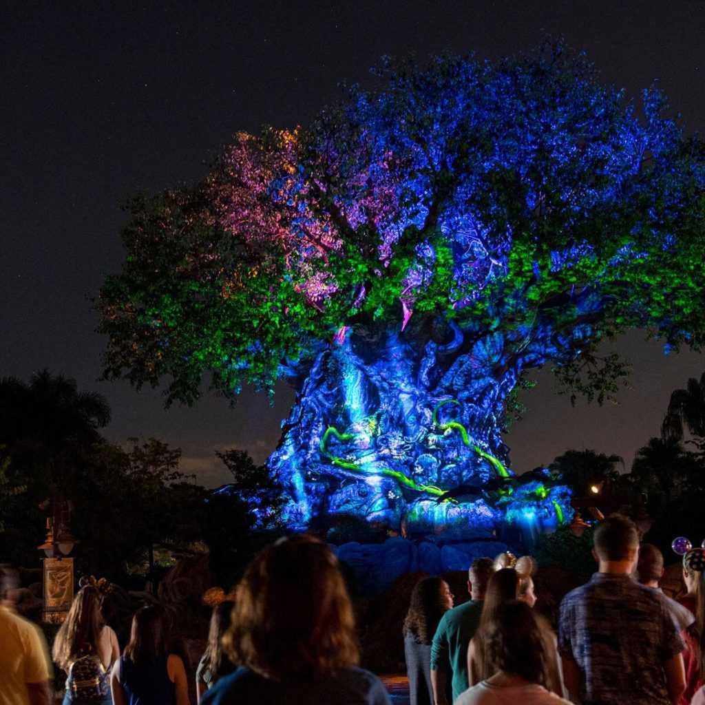 Photo of the Tree of Life at Disney's Animal Kingdom at night.