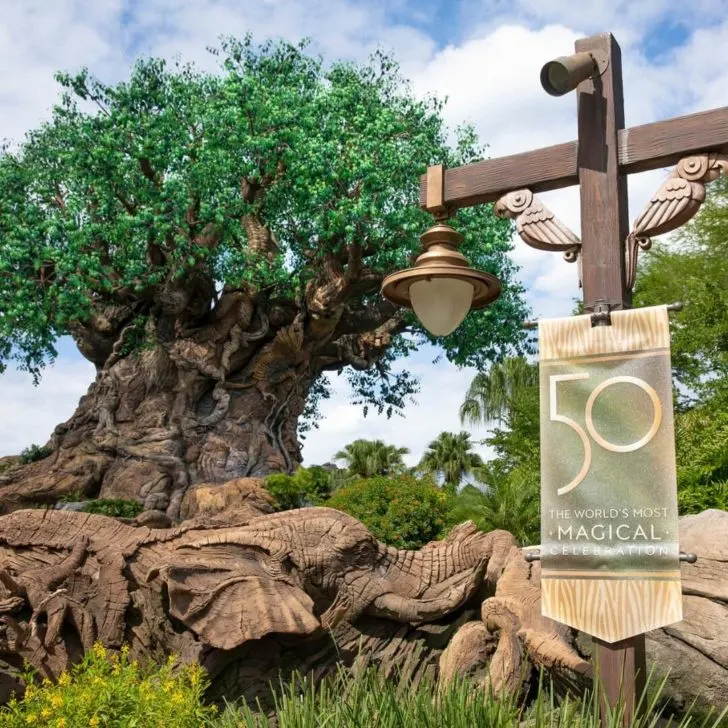 Photo of the Tree of Life at Disney's Animal Kingdom with a Disney World 50th Anniversary banner in the foreground.