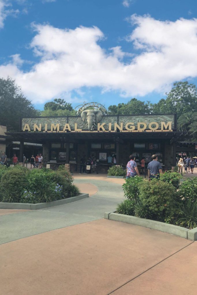 Photo of the entrance of Disney's Animal Kingdom with bright blue skies.