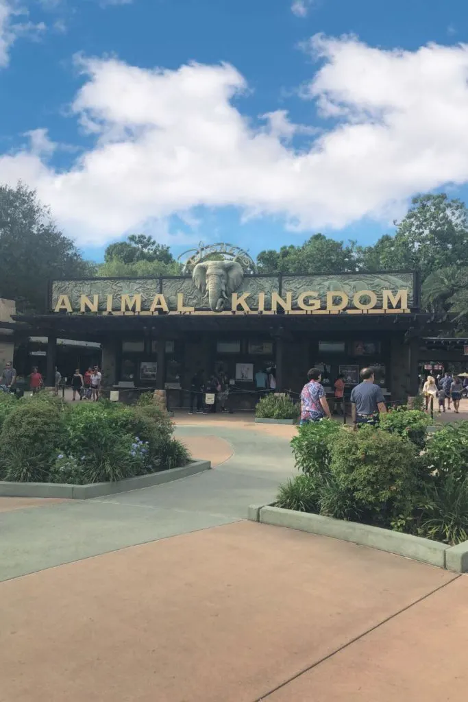 Photo of the entrance of Disney's Animal Kingdom with bright blue skies.