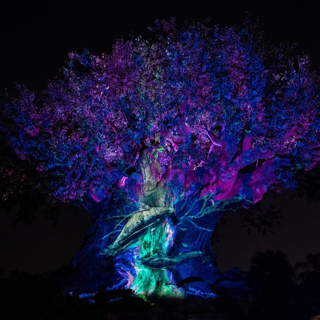 Photo of the Tree of Life at Disney's Animal Kingdom with an Avatar 2 projection.