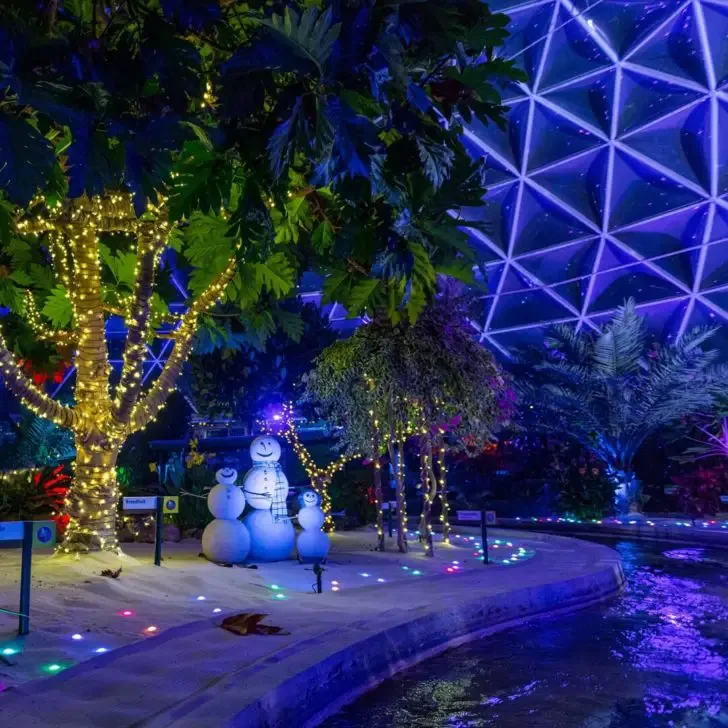 Photo of Living with the Land ride with the Glimmering Greenhouse holiday makeover.