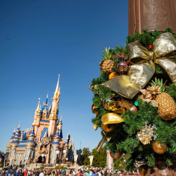 Photo of a Christmas wreath with pineapples on it with Magic Kingdom's Cinderella's Castle in the background.