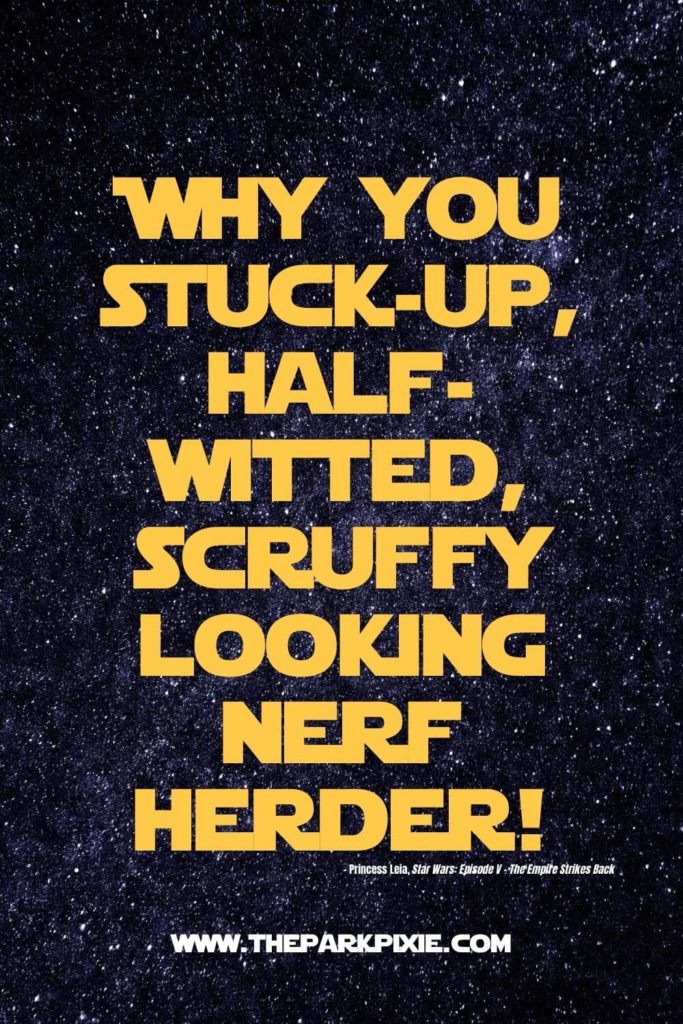 Graphic with a starry background and text that says "Why you stuck-up, half-witted, scruffy looking nerf herder!"