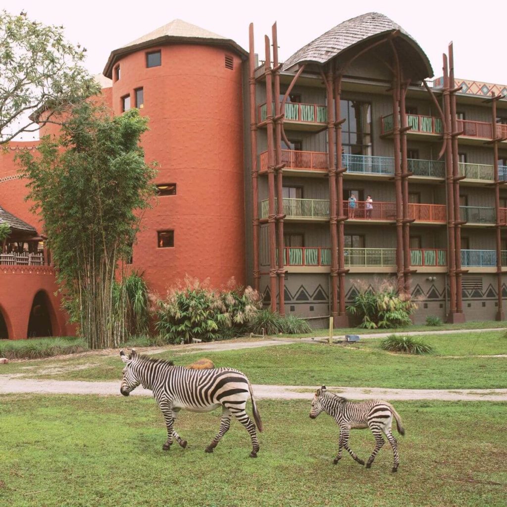 Photo of the Animal Kingdom Lodge with zebras hanging out in the savanna.