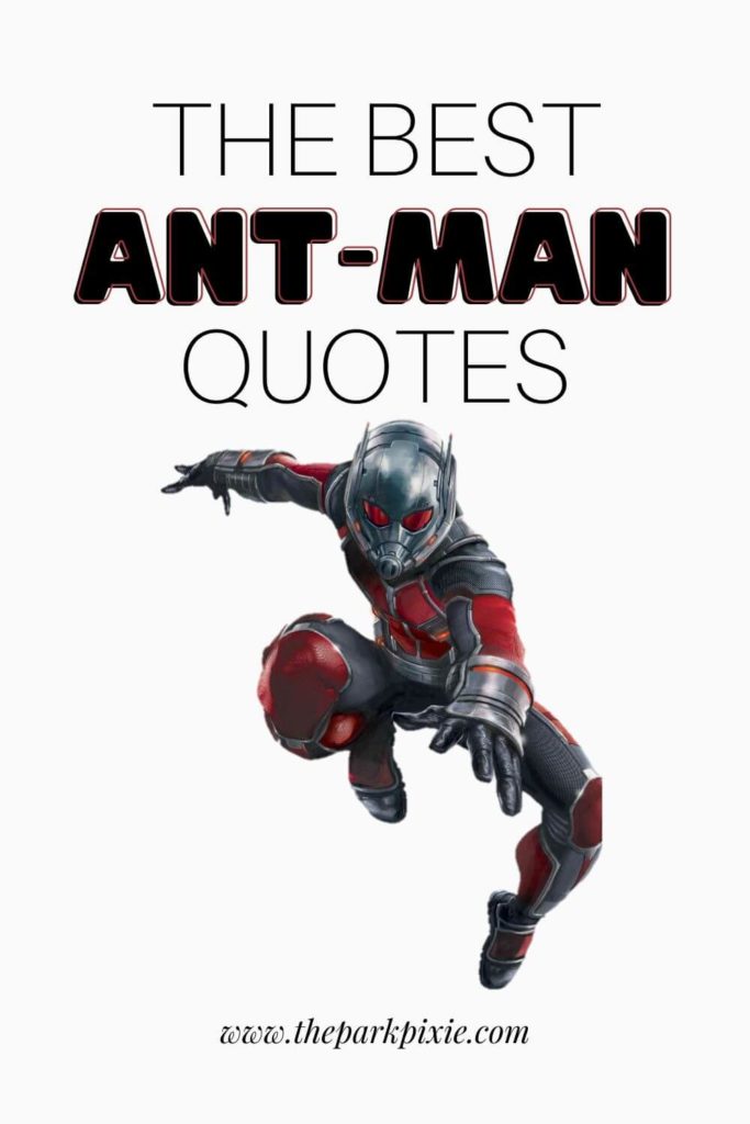 50+ Best Ant Man Quotes from the Marvel Cinematic Universe