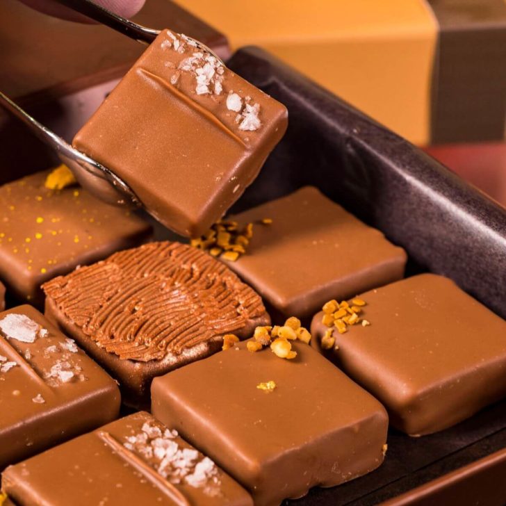 Closeup of fancy chocolates from The Ganachery in Disney Springs.