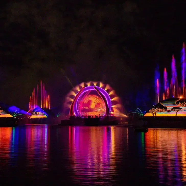 Photo of a Lion King scene from Epcot's Harmonious nighttime show, which can be seen without a park ticket via a private fireworks cruise.