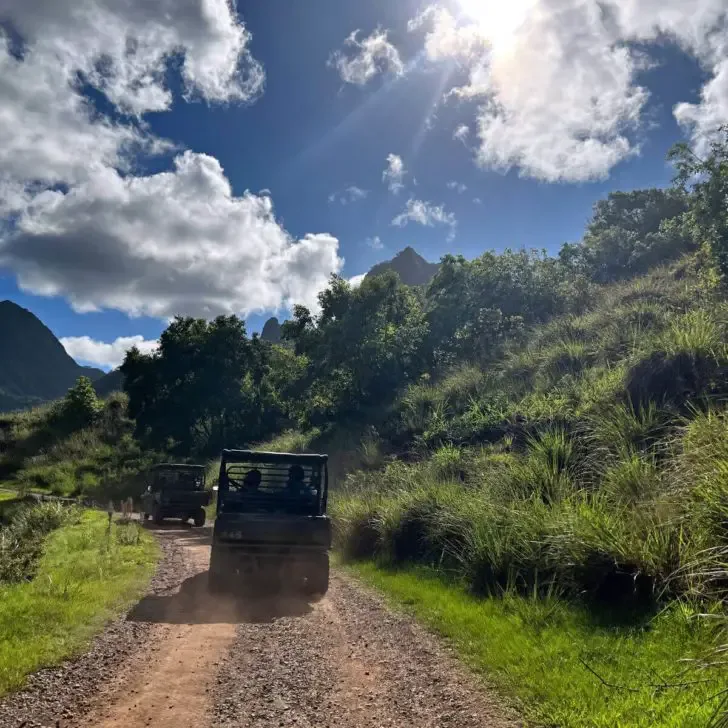 Photo of UTVs driving along a dirt road at Kualoa Ranch on a very sunny day.