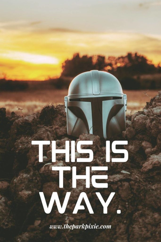 Photo of The Mandalorian helmet worn by Din Djarin sitting on the ground. Text below the photo reads: This is the way.