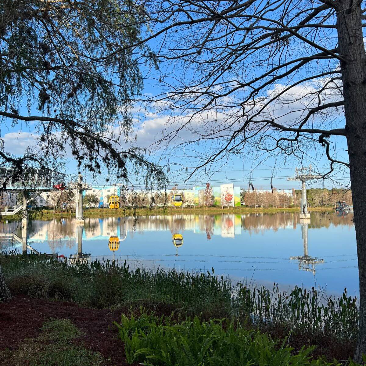 Photo of the Disney Skyliner over Hourglass Lake through trees from the Pop Century Resort.