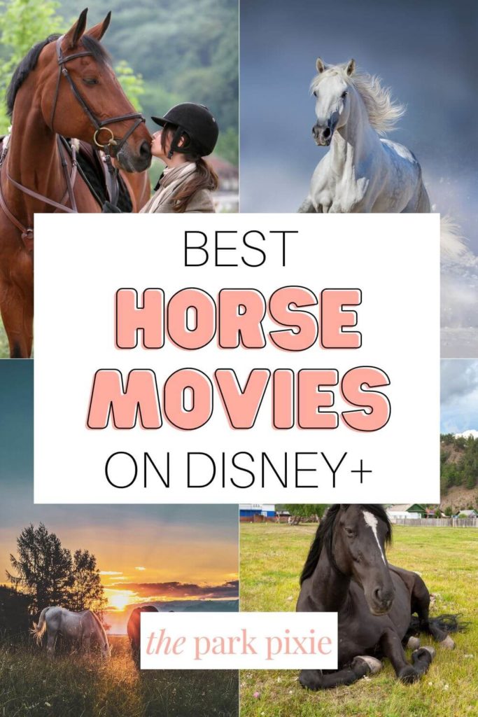 Graphic with 4 photos of horses. Text in the middle reads "Best Horse Movies on Disney+."