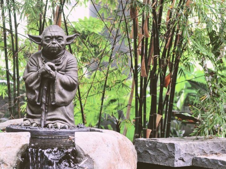 Best Jedi Master Yoda Quotes from the Star Wars Galaxy
