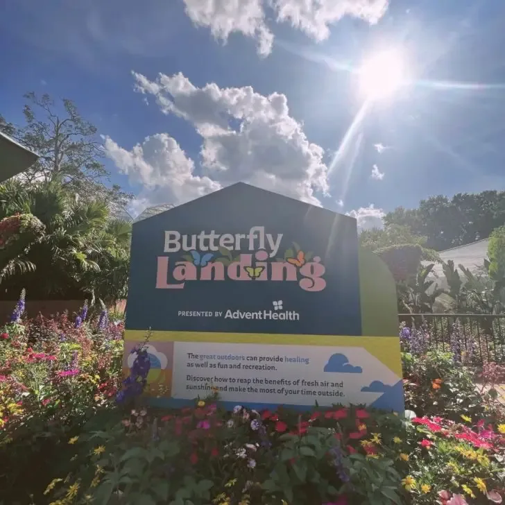 Photo of the sign for the Butterfly Landing area at the Epcot Flower and Garden Festival.