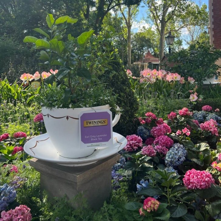 Photo of a giant teacup with a plant inside and flowers growing all around it.