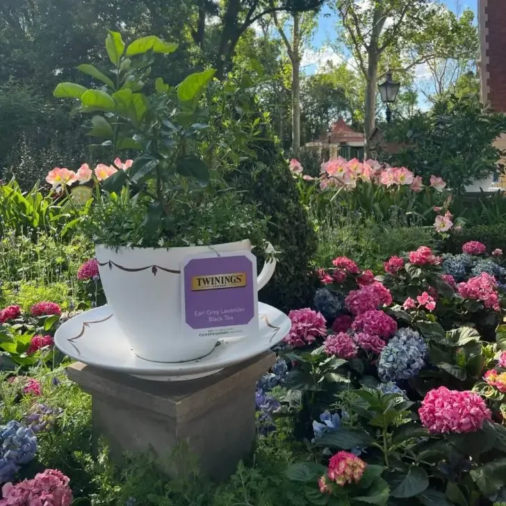 Photo of a giant teacup with a plant inside and flowers growing all around it.