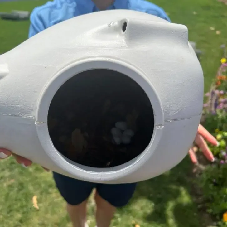 Photo looking inside a Purple Martin nest with several eggs inside.