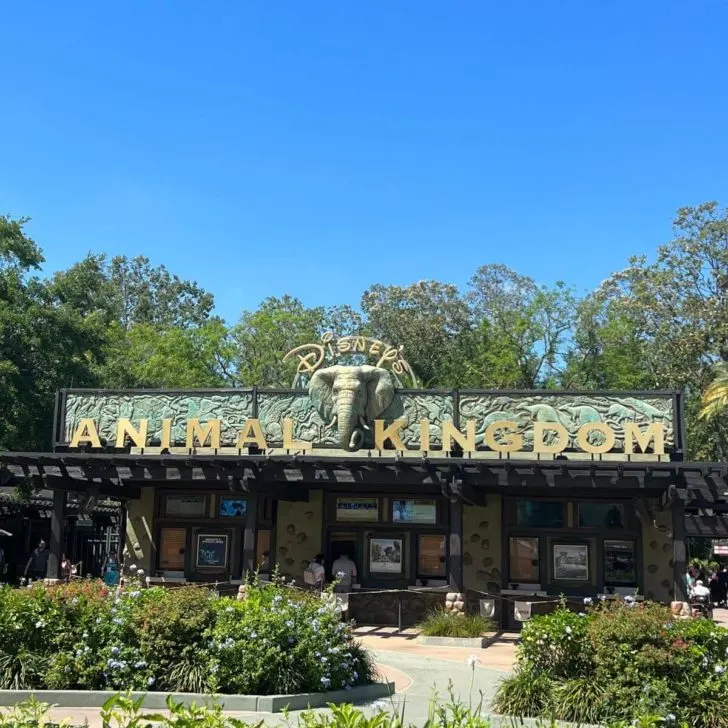 Photo of the entrance for Disney's Animal Kingdom.