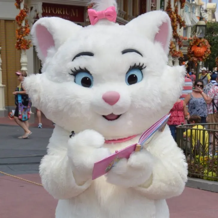 Photo of Marie from Aristocats signing an autograph book at Magic Kingdom.