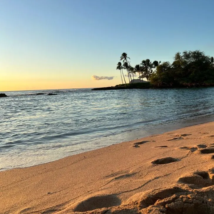 Photo of Paradise Cove Beach at sunset with palm trees in the distance.