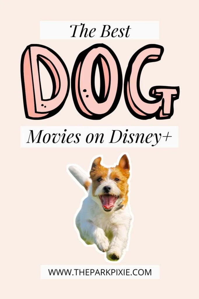 Graphic with an image of a dog running with a happy face. Text above the dog reads "The Best Dog Movies on Disney+."
