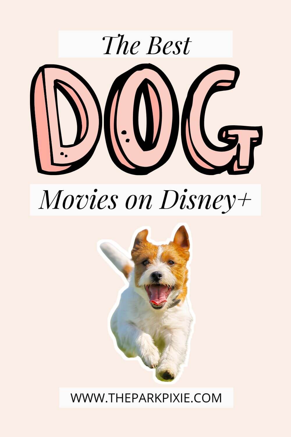 100+ Heartwarming Disney Dog Movies on Disney Plus