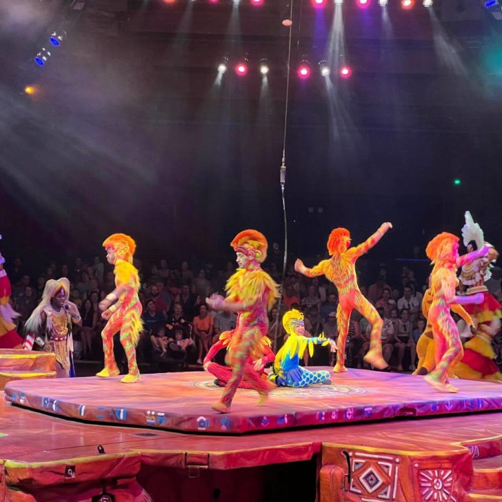 Photo of a scene from the Celebration of the Festival of the Lion King at Disney's Animal Kingdom.