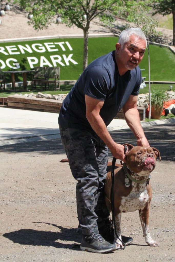 Cesar Milan holding onto a dog at a park from a scene in his reality show, Cesar Milan: Better Human, Better Dog.