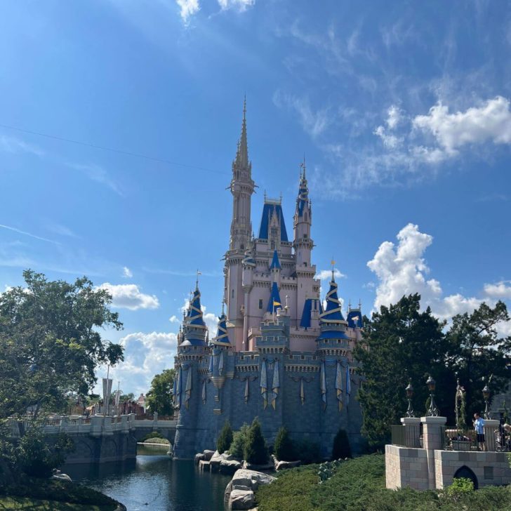 Photo of Cinderella's Castle from the side with water in the foreground.