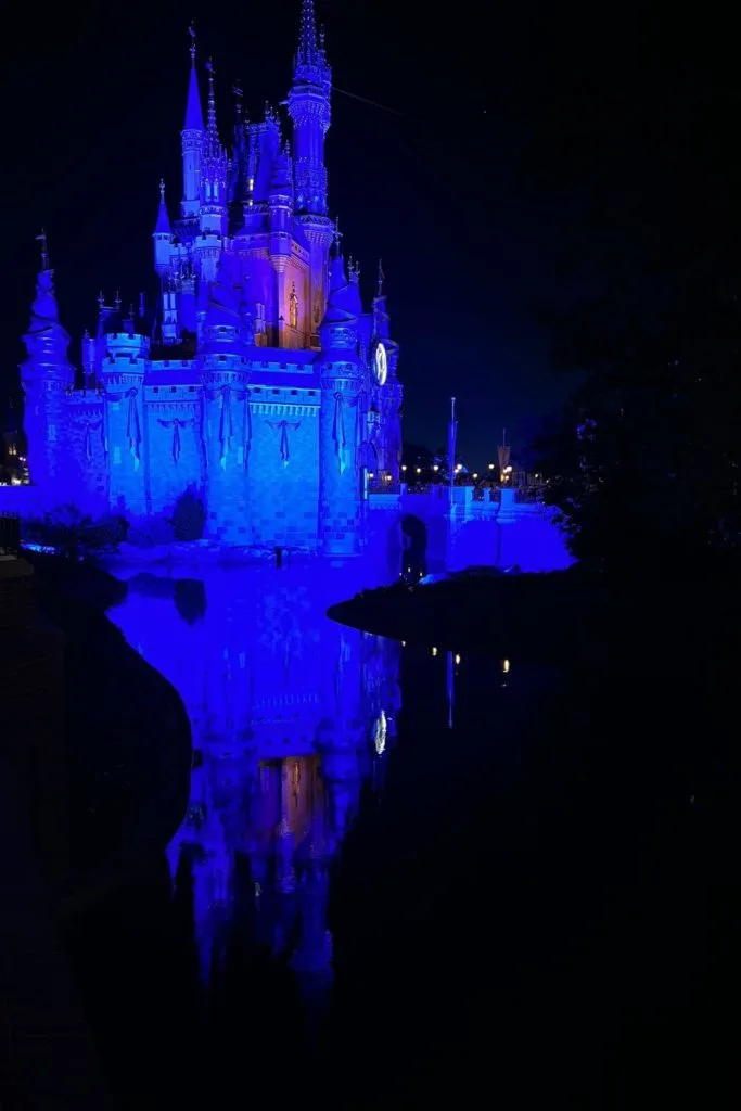 Photo of the side of Cinderella's Castle at night light up with a royal blue light, reflecting in water in the foreground.