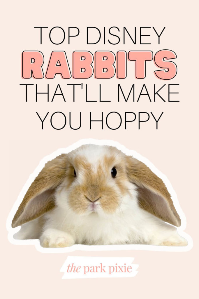 Graphic with a photo of a brown and white bunny at the bottom. Text above the photo reads "Top Disney Rabbits That'll Make You Hoppy."