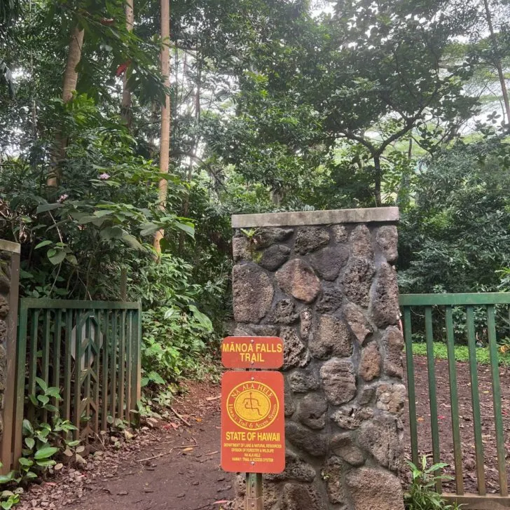 Photo of the entrance to the Manoa Falls Trail on Oahu.