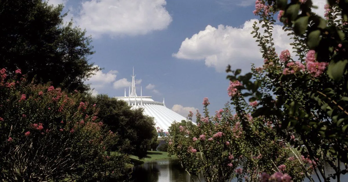 Photo of Space Mountain in the background with floral bushes partially covering it in the foreground.