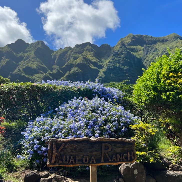 Photo of a wooden sign that says Kualoa Ranch with flowering trees and bushes behind it and massive mountains in the background.