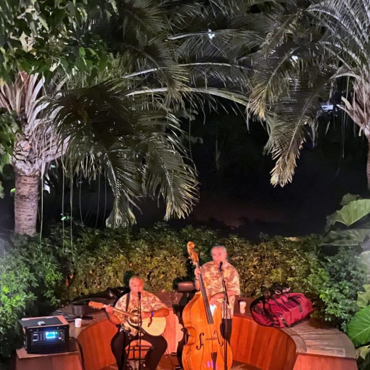 Photo of two musicians performing Hawaiian music.